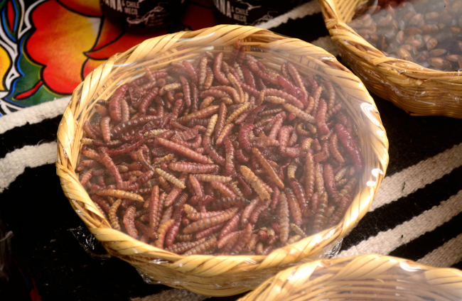 Los gusanos rojos de maguey son vendidos en mercados como un ingrediente para diversos platillos.