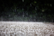 El granizo visible cae por todas partes. Getty