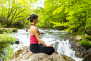 La Terapia de Bosque