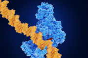 La Epigenética y el Poder Oculto de Nuestro ADN
