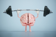 El poder del ejercicio en el cerebro: beneficios cognitivos y emocionales