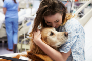 La terapia con animales, también conocida como terapia asistida por animales (TAA), es un enfoque terapéutico en el que los animales se utilizan para ayudar a las personas a recuperarse o a lidiar con problemas de salud mental y física.
