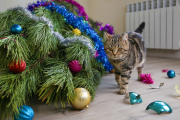Gatos y árboles de Navidad, una peligrosa combinación