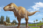 El nuevo integrante de Tyrannosaurus aporta muchas pistas sobre la evolución del gigantismo.