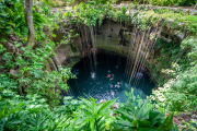 Debemos ser conscientes que contaminar los cenotes tiene un impacto negativo para toda la biodiversidad de la Península, incluyéndonos.