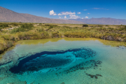 El oasis norteño: Cuatro Ciénegas