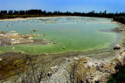 Un rescate audaz para preservar un oasis en riesgo, donde la solidaridad y el ingenio se combinan para protegerlo.