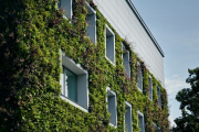 ¿Pueden los jardines verticales contribuir a una arquitectura neutra en carbono?