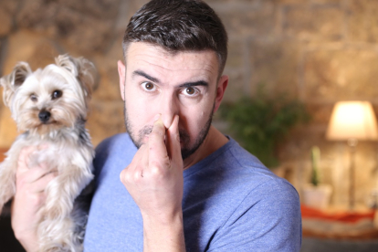 5 trucos para evitar que tu perro huela feo