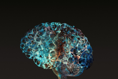 La Neuroplasticidad y la Increíble Capacidad de Adaptación del Cerebro Humano