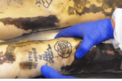 Los tatuajes como identificación forense