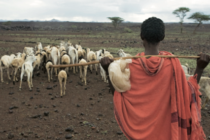 Un adolescente keniano de la etnia gabra vigila su rebaño de cabras. En caso de que la sequía se las lleve por delante, los satélites le echarán una mano.