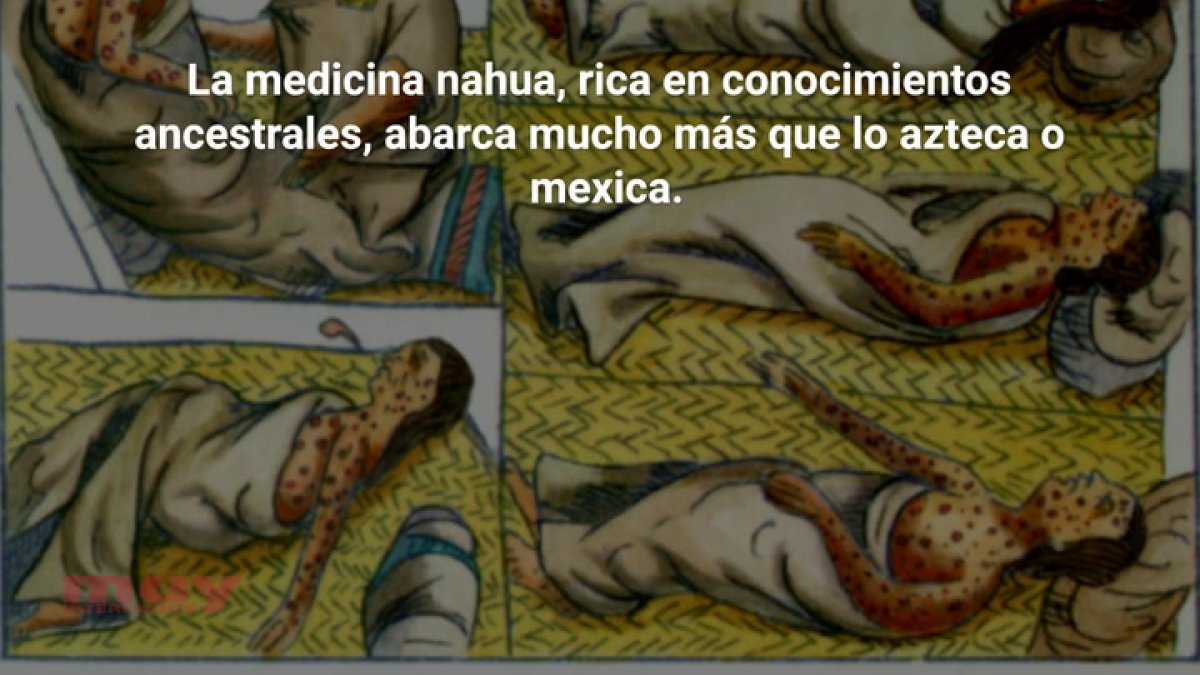 Descubre los secretos de la medicina nahua: herbolaria, rituales y sabiduría ancestral (Cristina López)