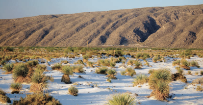 El clima del valle va de lo seco a semicálido, con una temperatura de 18 a 22 °C. La zona está enmarcada por el cruce de sierras y montañas.
