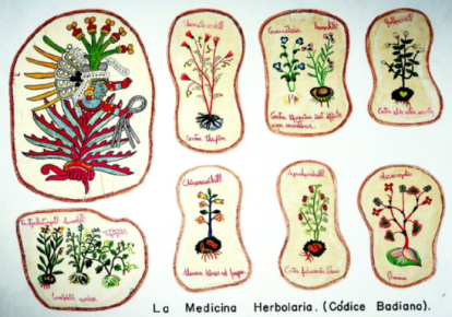 Facsímil de una página sobre medicina herbolaria del Códice De la Cruz-Badiano, también conocido como Libellus de medicinalibus indorum herbis (1553).